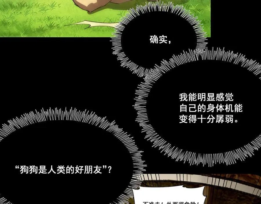 26 第11页