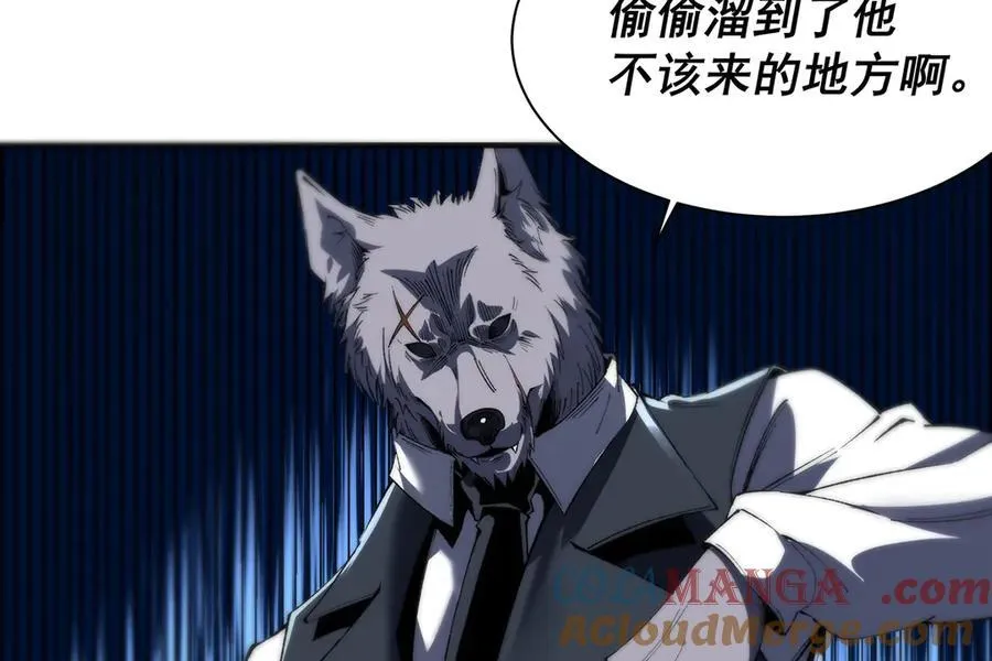 26 第113页