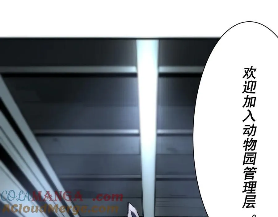27 第13页