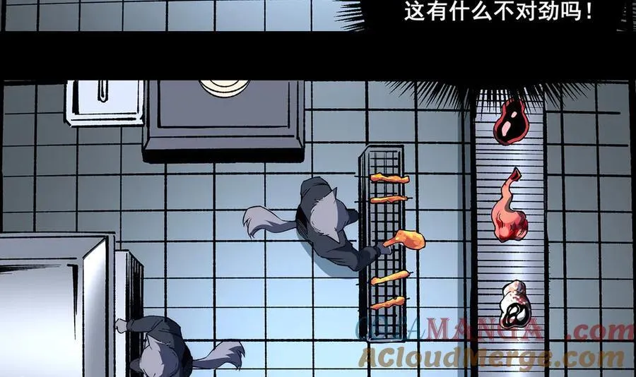 27 第49页