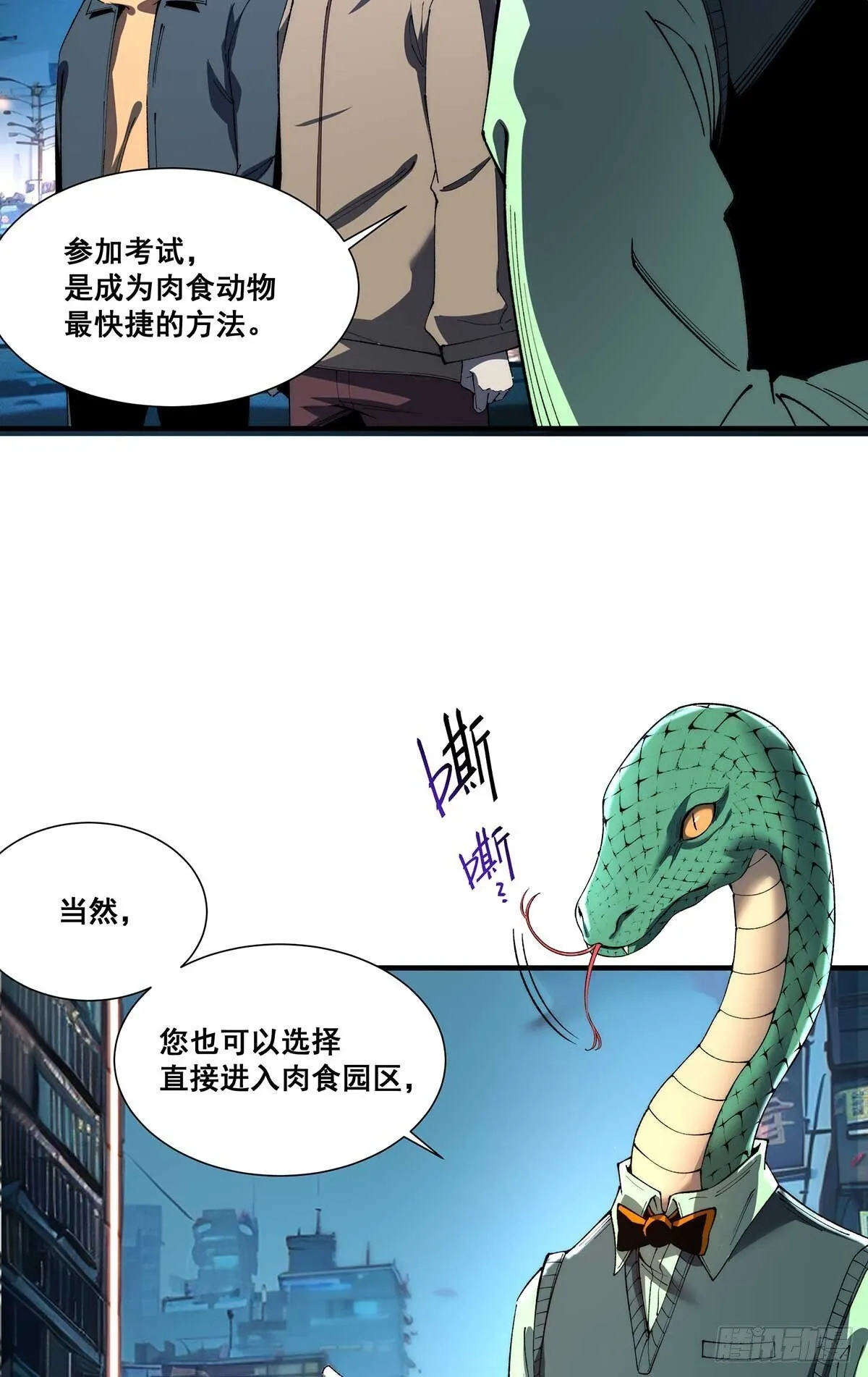 29 第13页