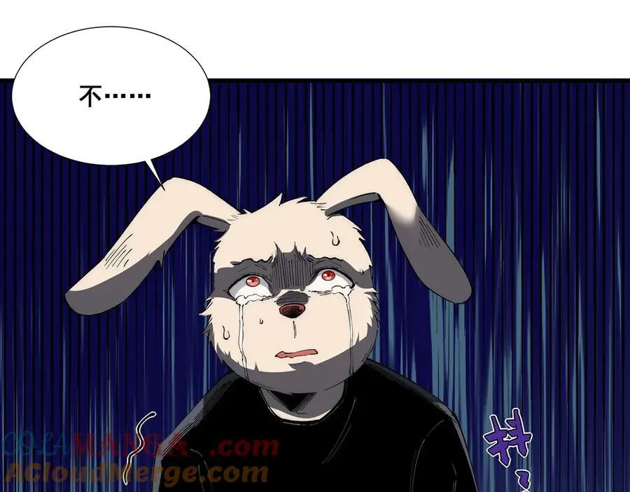 33 第33页