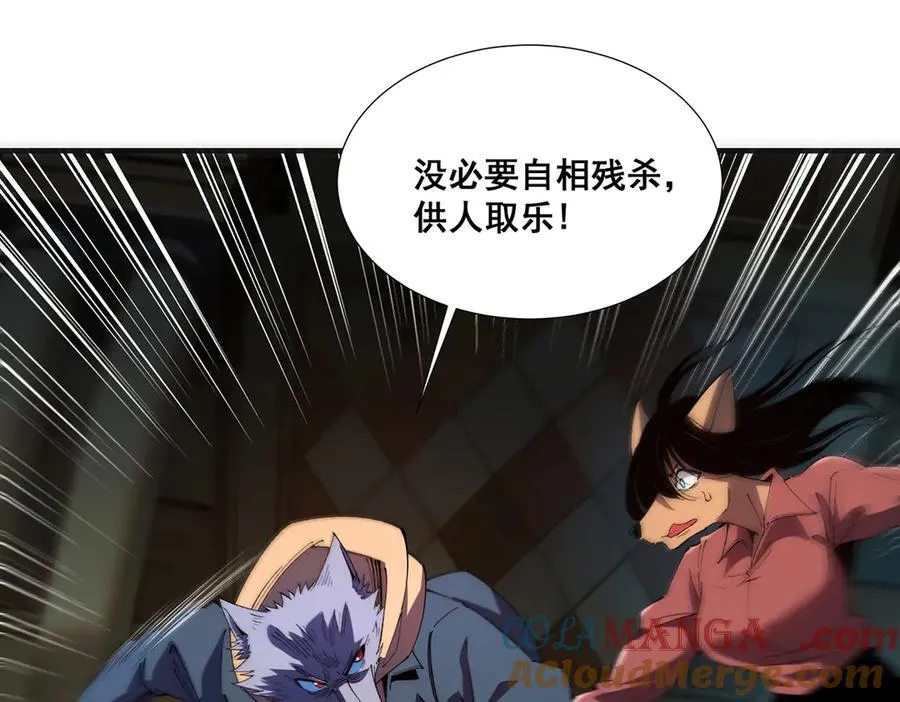 33 第41页