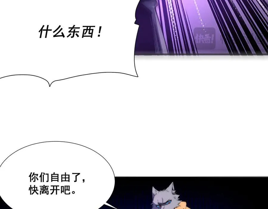 33 第51页