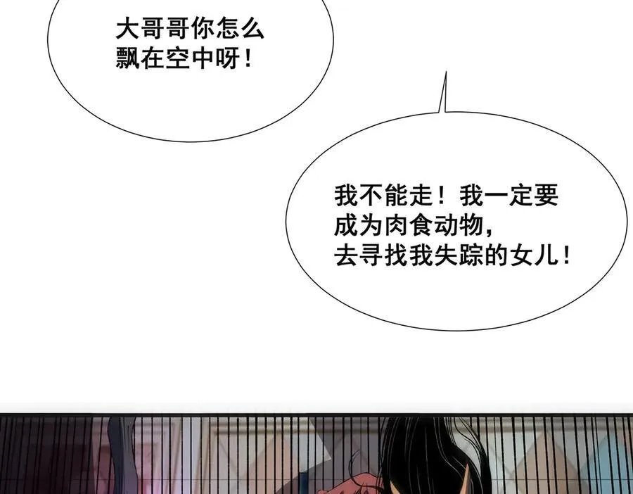 33 第55页
