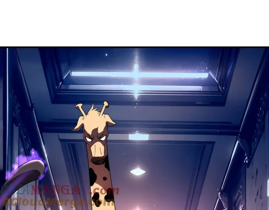 33 第73页