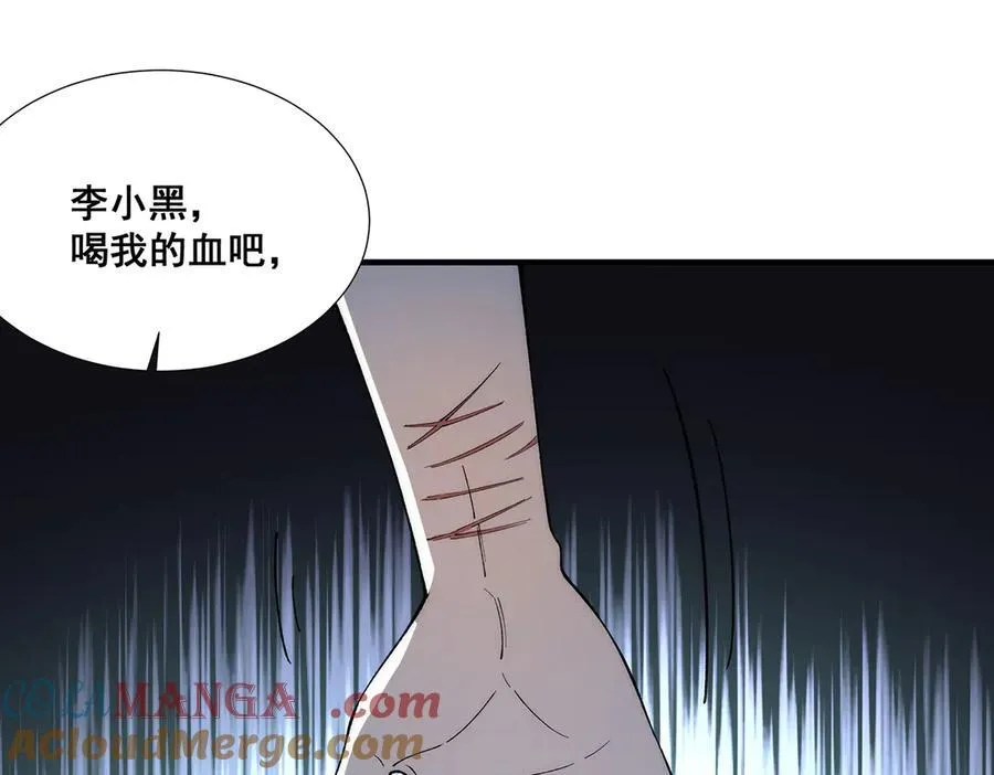 33 第81页