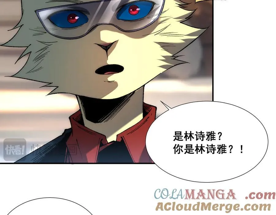 35 第29页