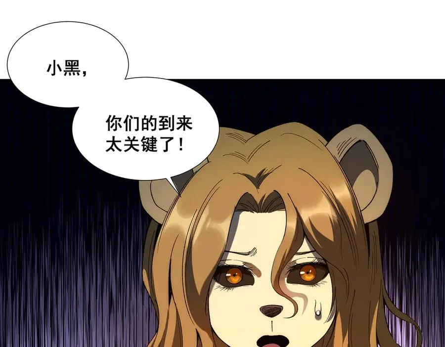 35 第47页