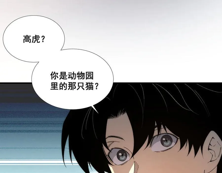 40 第17页