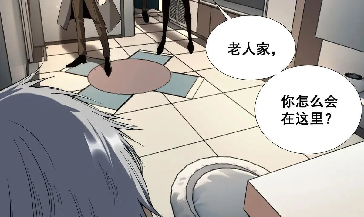 49 第20页