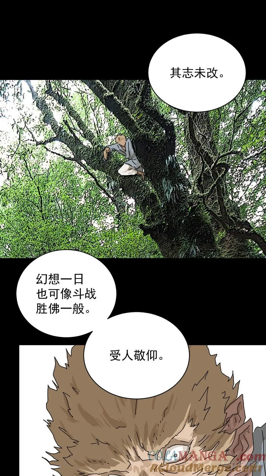 大圣归来（十八） 第15页