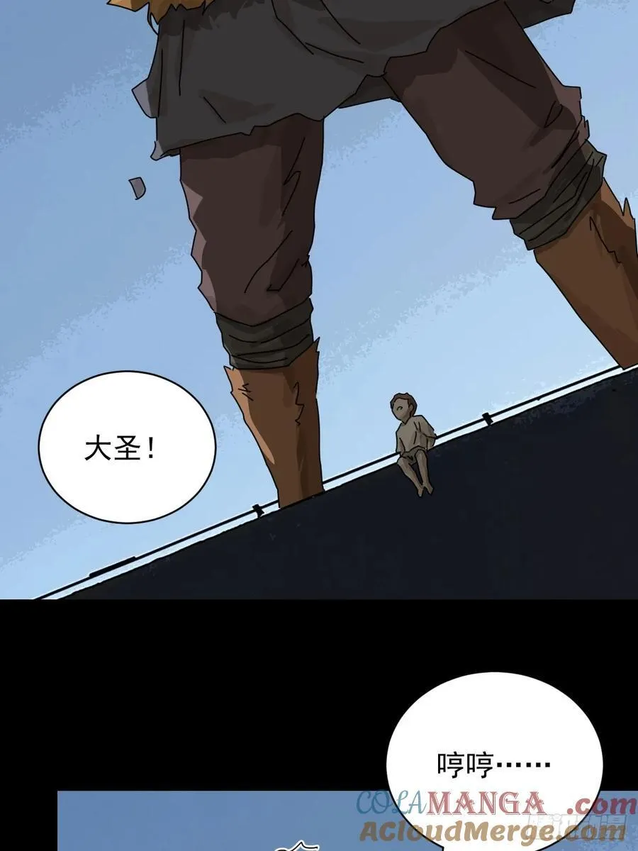 大圣归来（十九） 第13页