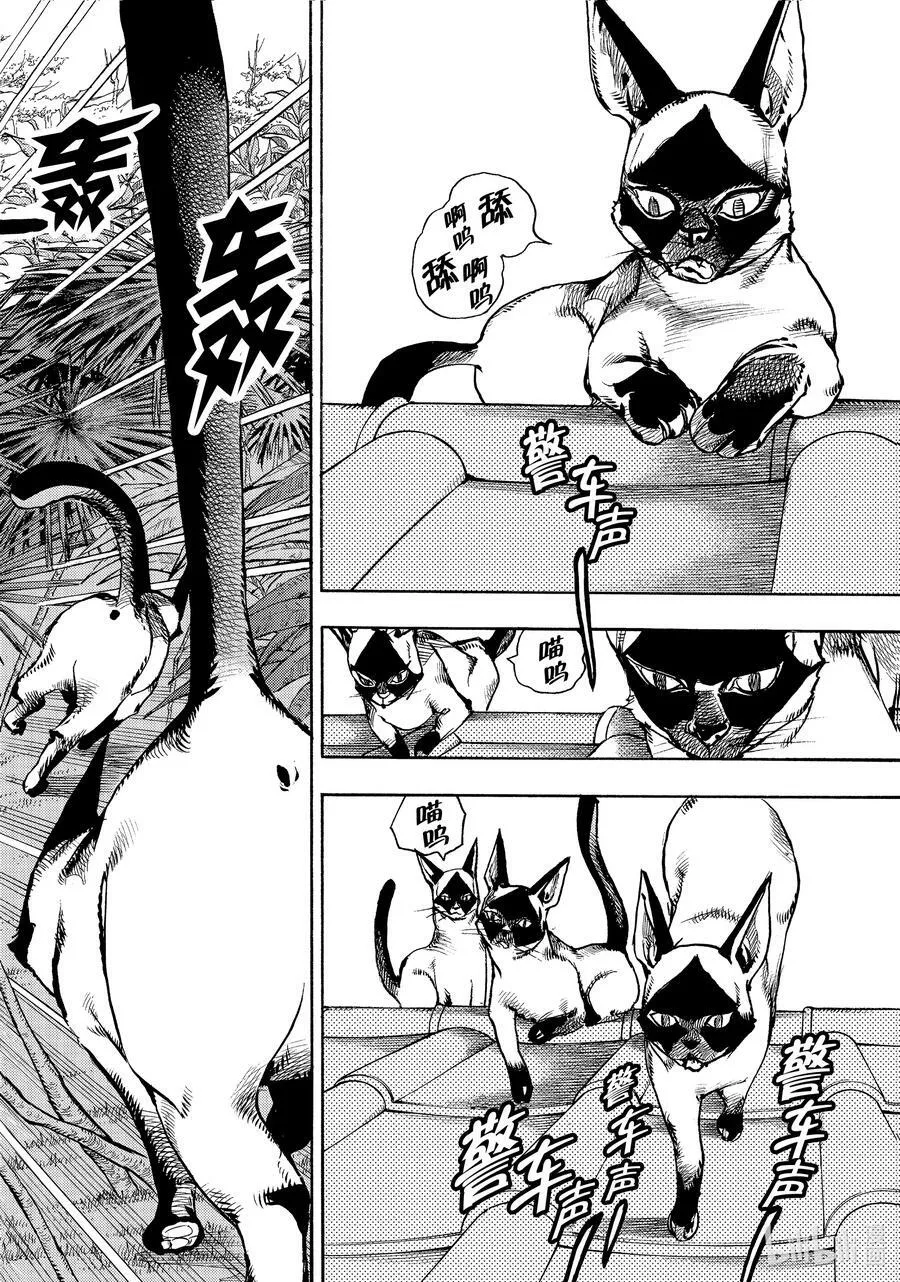 05 05 第44页