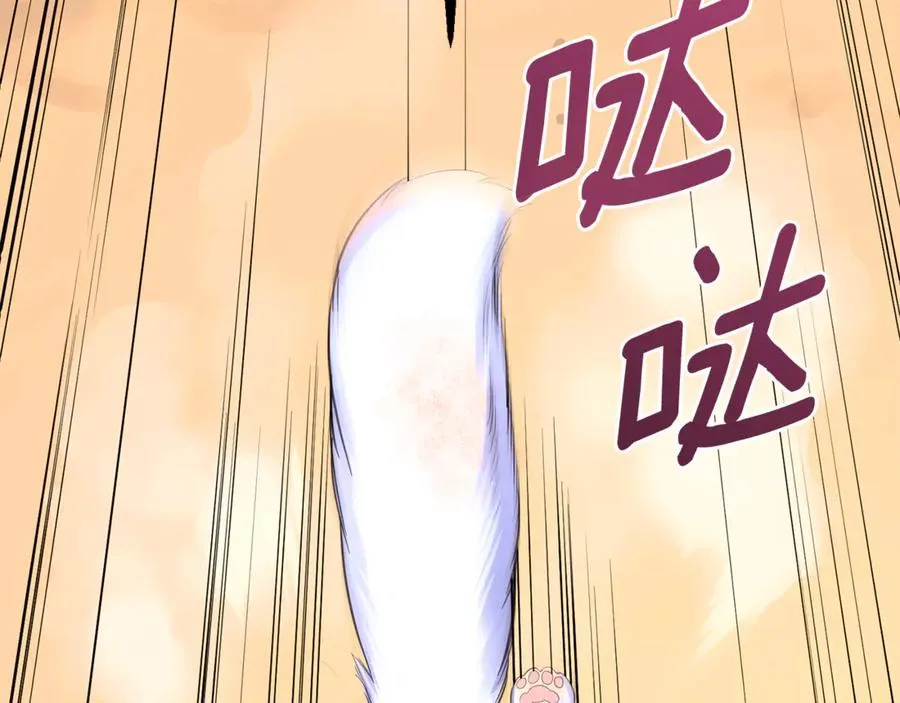 第1话 转世为猫？ 第218页