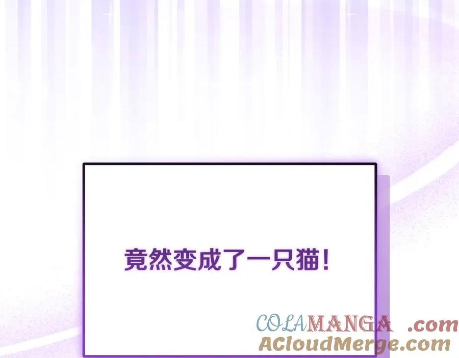 第1话 转世为猫？ 第221页