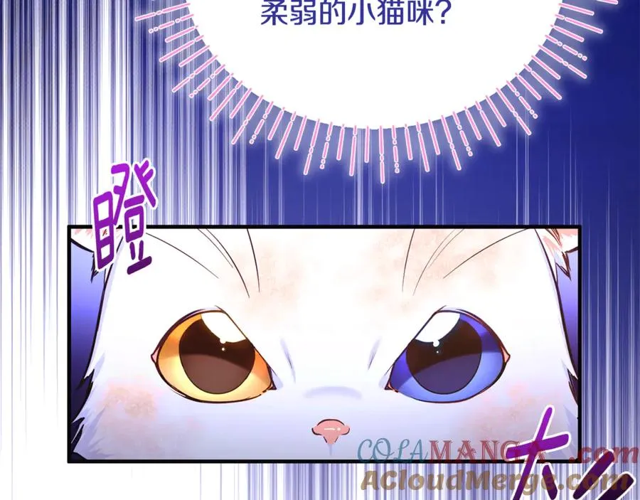 第1话 转世为猫？ 第237页