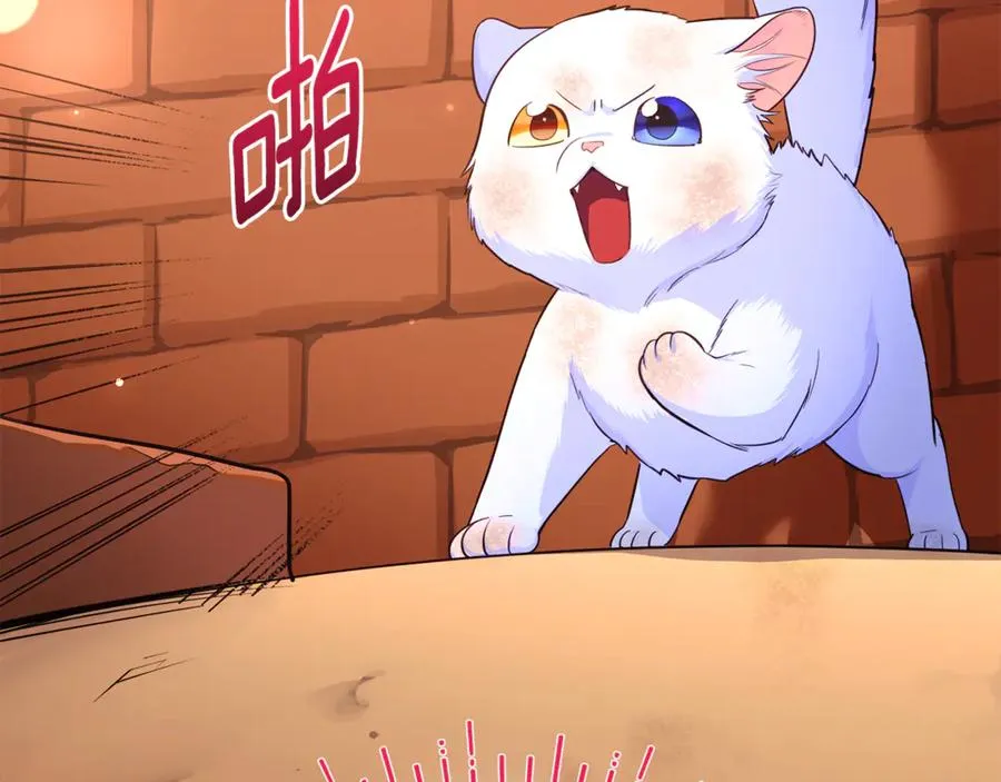 第1话 转世为猫？ 第240页