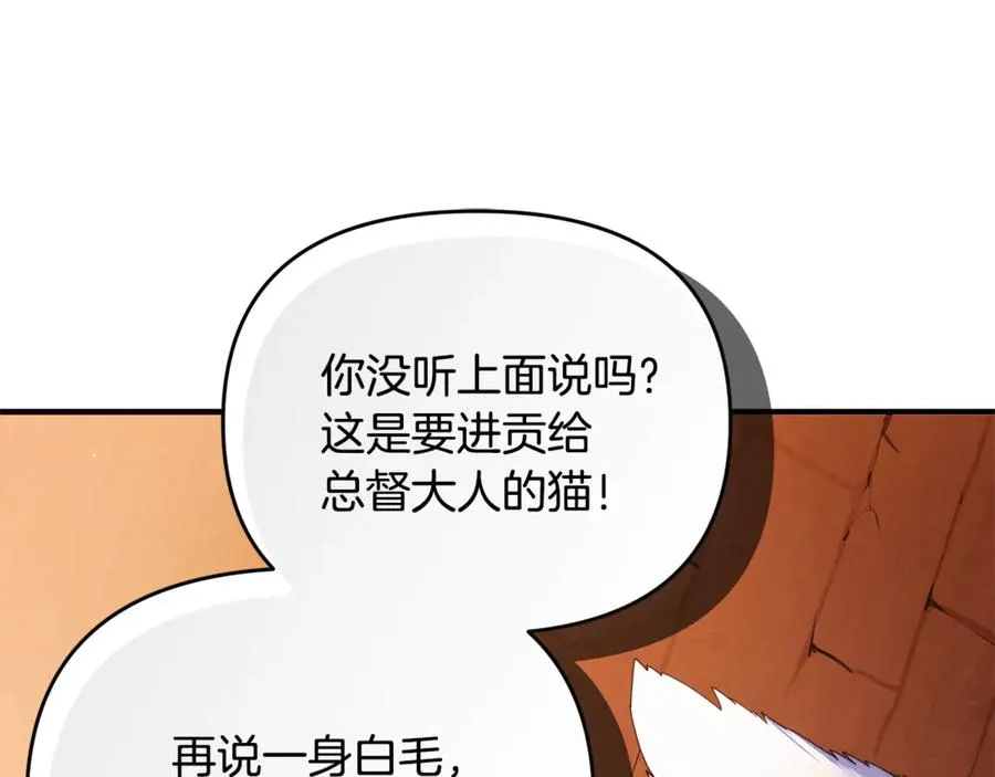 第1话 转世为猫？ 第251页
