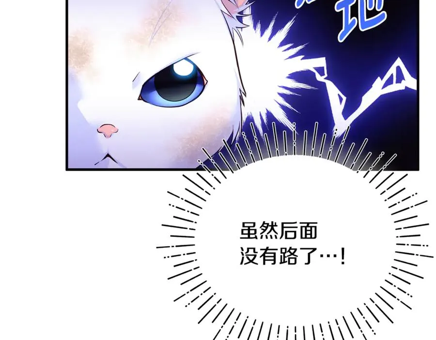 第1话 转世为猫？ 第255页