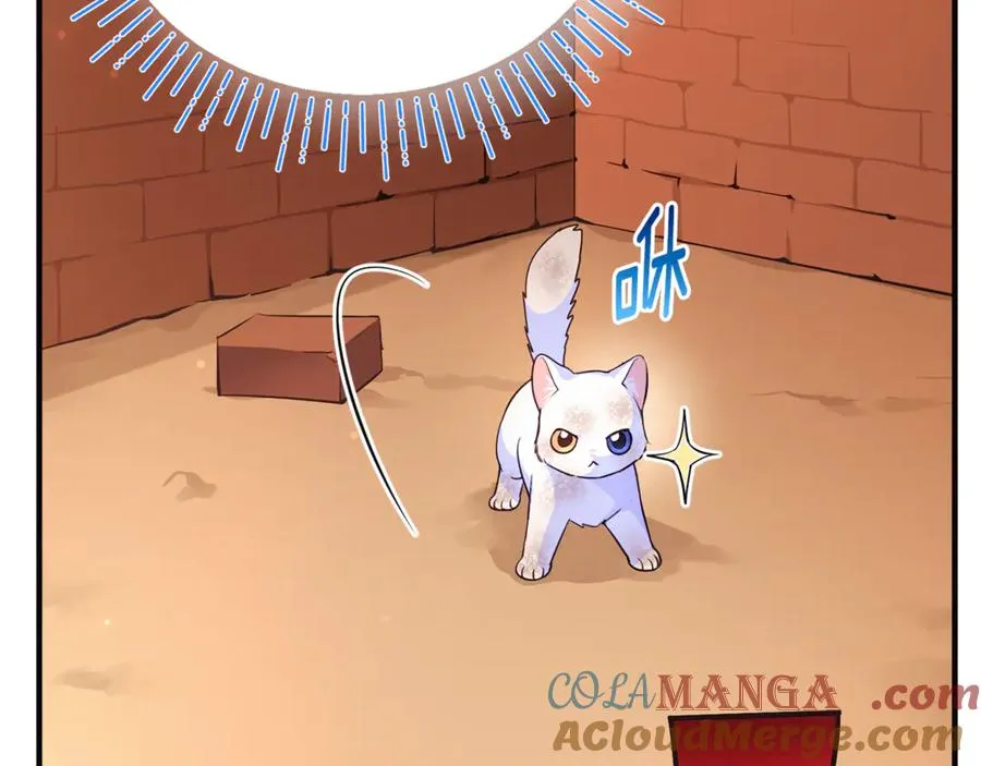 第1话 转世为猫？ 第257页