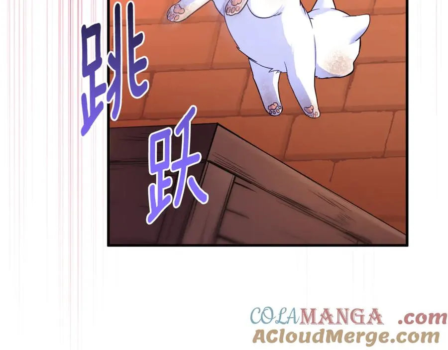 第1话 转世为猫？ 第265页