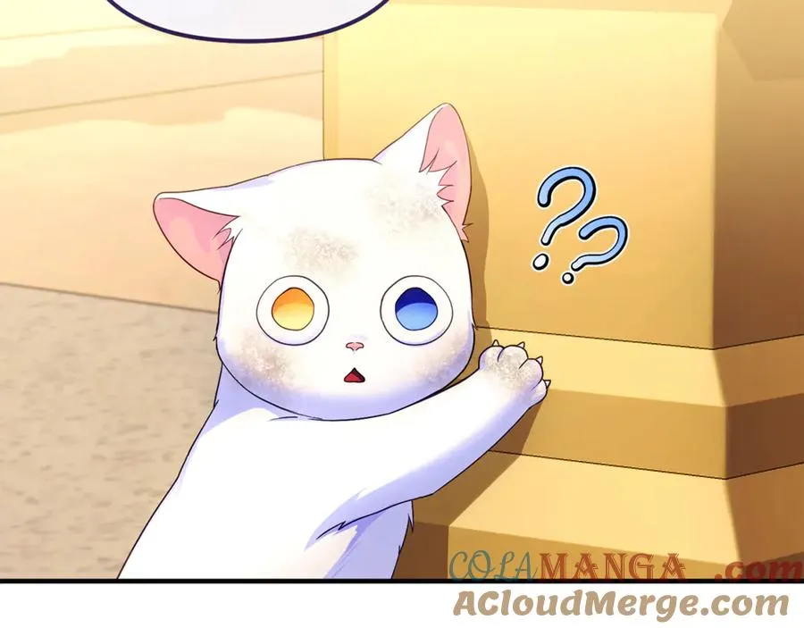 第3话 摇身一变成了预言猫 第5页