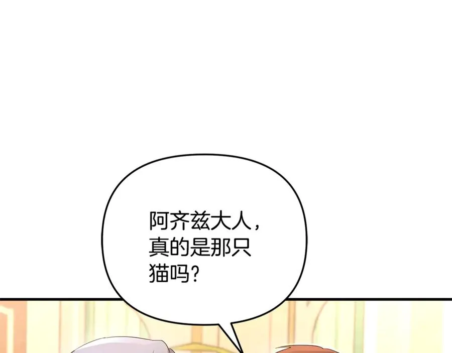 第3话 摇身一变成了预言猫 第8页