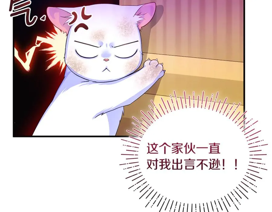 第3话 摇身一变成了预言猫 第11页