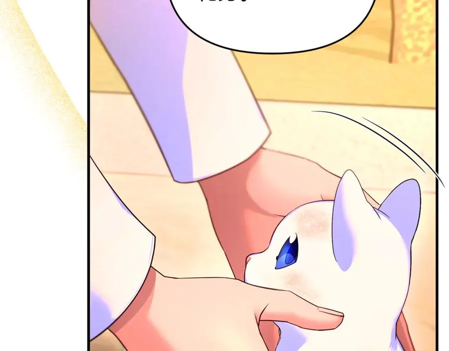 第3话 摇身一变成了预言猫 第16页