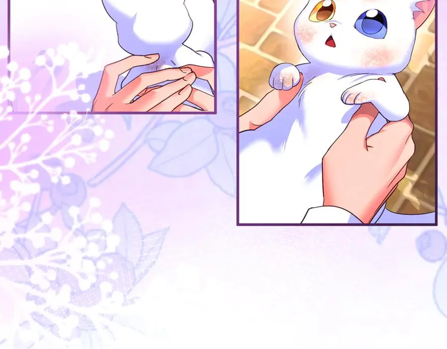 第3话 摇身一变成了预言猫 第23页