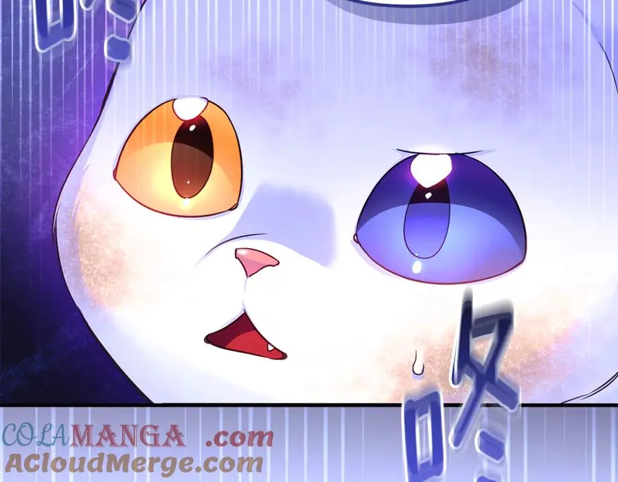 第3话 摇身一变成了预言猫 第29页