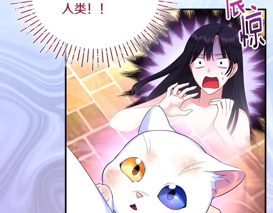 第3话 摇身一变成了预言猫 第34页