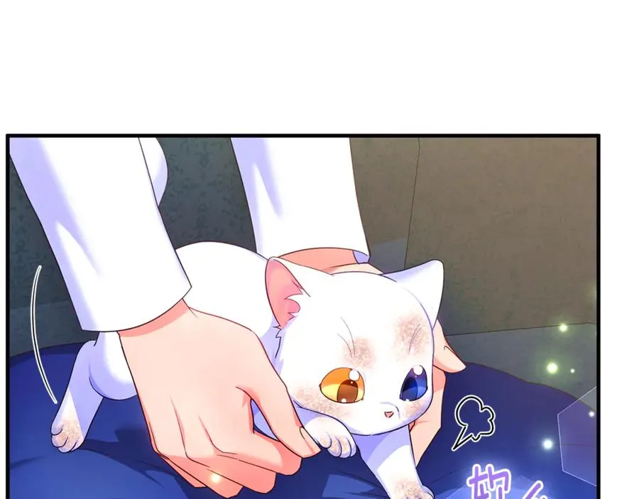 第3话 摇身一变成了预言猫 第39页