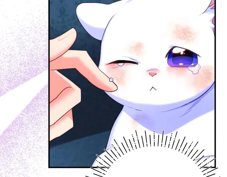 第3话 摇身一变成了预言猫 第110页