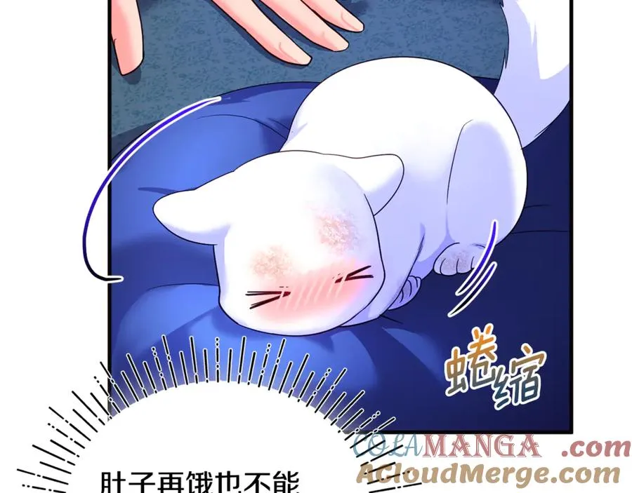 第3话 摇身一变成了预言猫 第133页