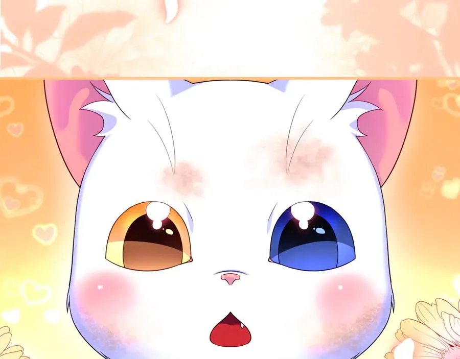 第3话 摇身一变成了预言猫 第140页