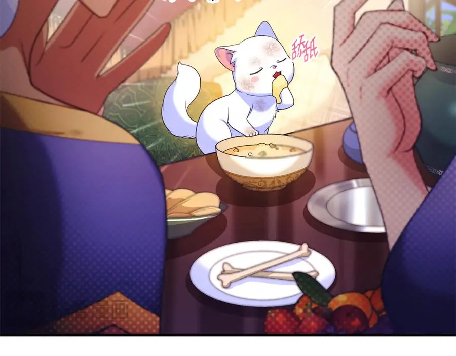 第3话 摇身一变成了预言猫 第155页