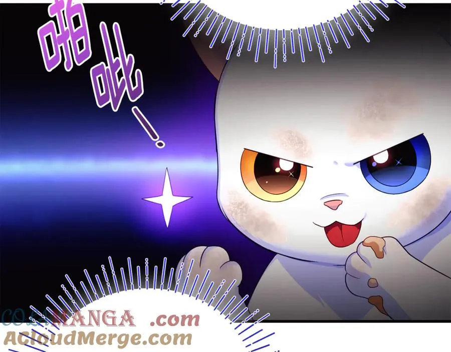 第3话 摇身一变成了预言猫 第157页