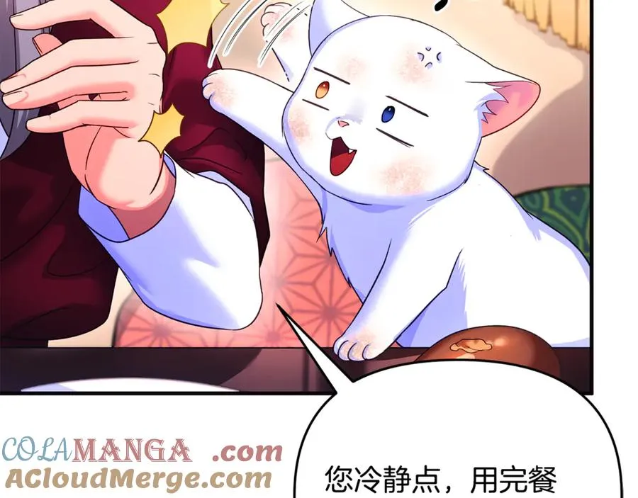 第3话 摇身一变成了预言猫 第173页