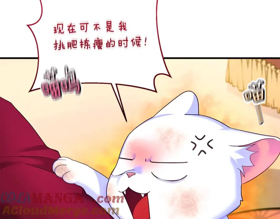 第3话 摇身一变成了预言猫 第181页