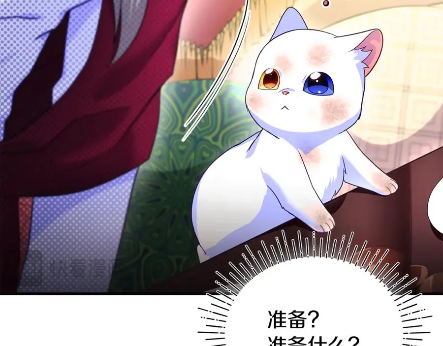 第3话 摇身一变成了预言猫 第187页