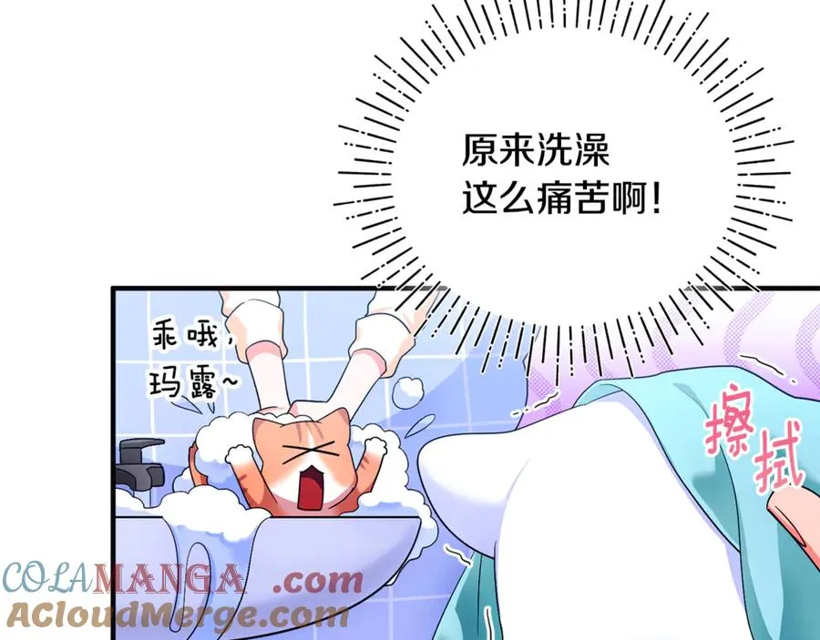 第3话 摇身一变成了预言猫 第201页