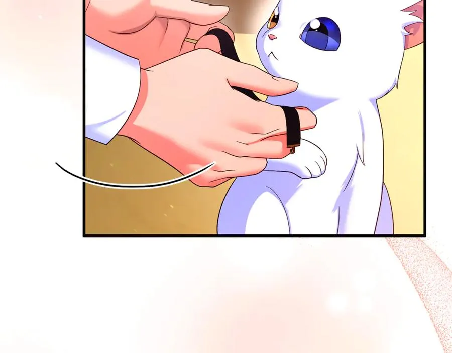 第3话 摇身一变成了预言猫 第210页