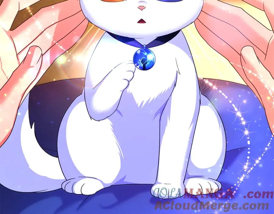 第3话 摇身一变成了预言猫 第213页