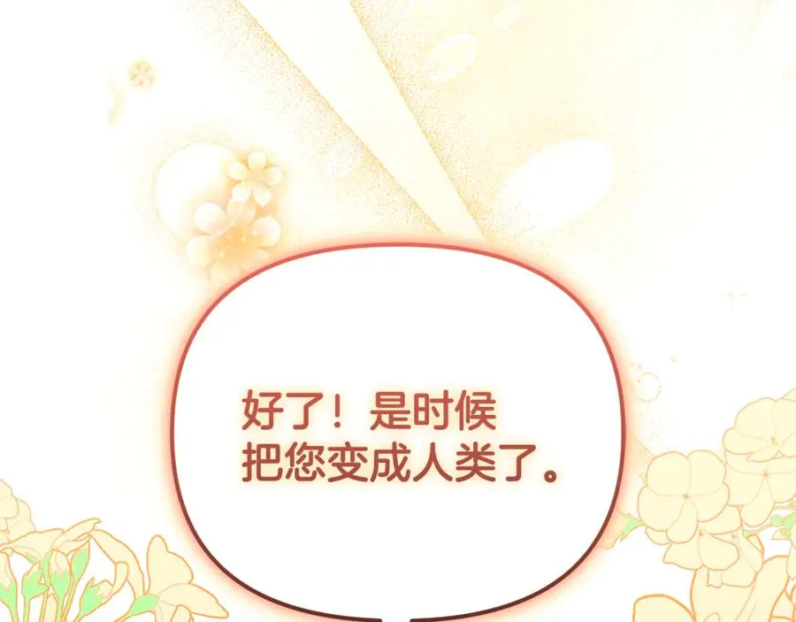 第3话 摇身一变成了预言猫 第231页