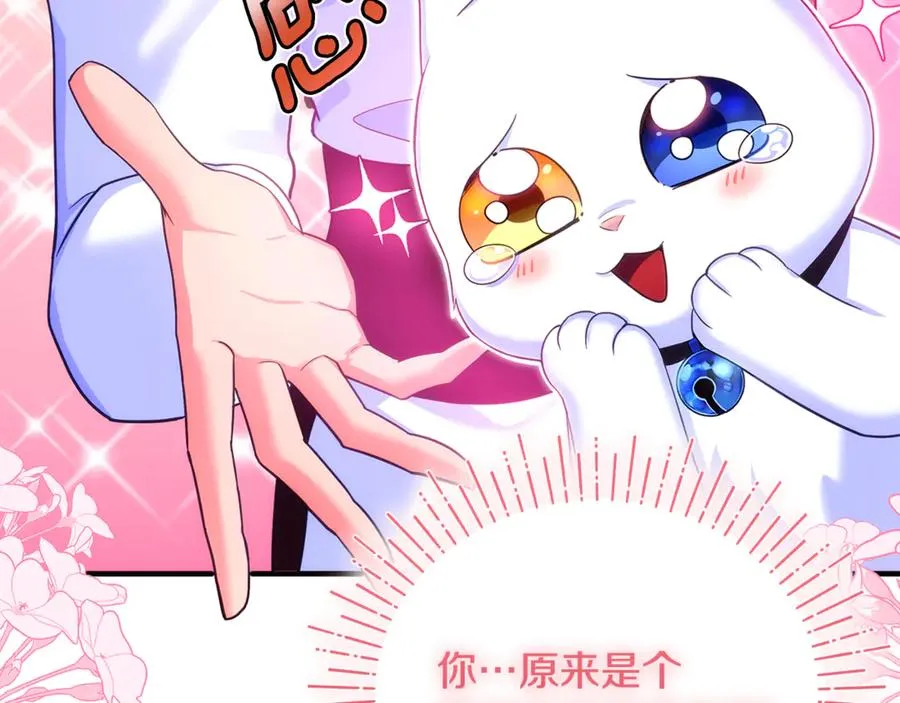 第3话 摇身一变成了预言猫 第234页