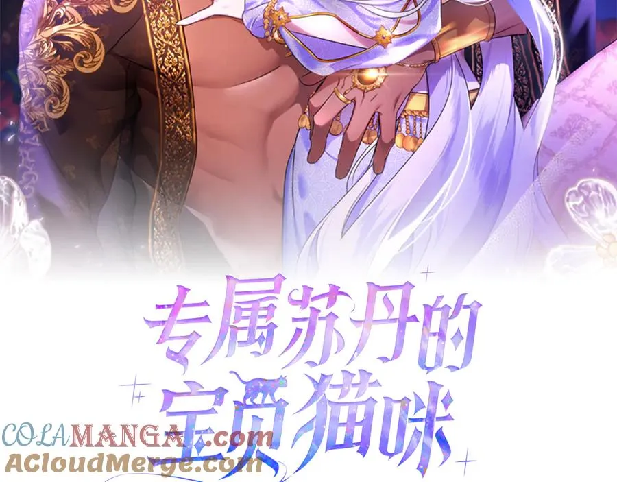 第3话 摇身一变成了预言猫 第237页