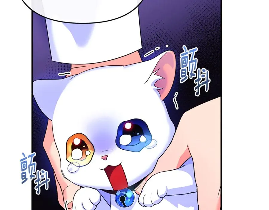 第3话 摇身一变成了预言猫 第256页