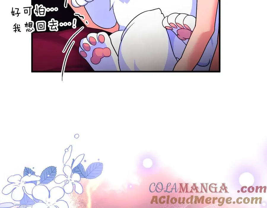 第3话 摇身一变成了预言猫 第257页